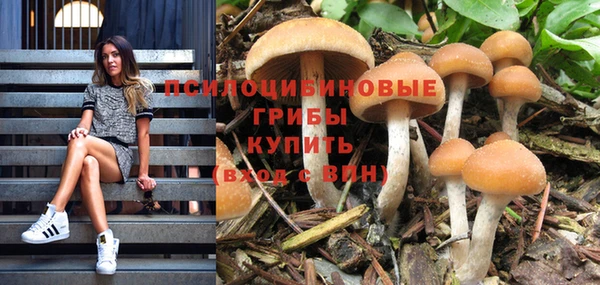 прущие крисы Алексин