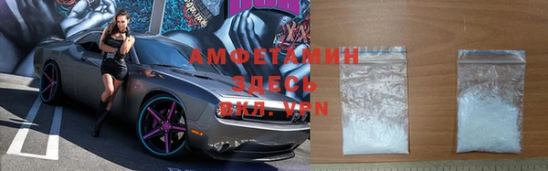 крисы Абаза